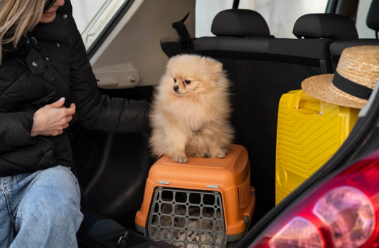 The Ultimate Guide to Pet Travel Accessories: Everything You Need for a Seamless Journey